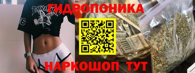 mdpv Владивосток