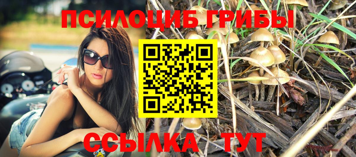 где можно купить   Галлюциногенные грибы GOLDEN TEACHER  Вход с VPN  Псилоцибиновые грибы Psilocybe  Воронеж 