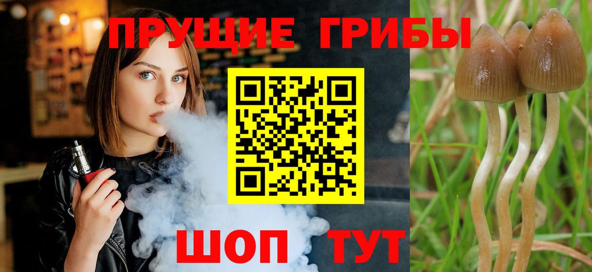 Галлюциногенные грибы ЛСД Воронеж